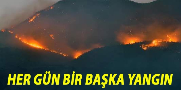 Cudi ve Gabar dağlarında her gün bir başka yangın