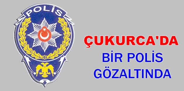 Çukurca'da 1 polis gözaltına alındı