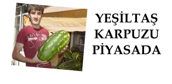 Dağlıca Karpuzu Piyasada