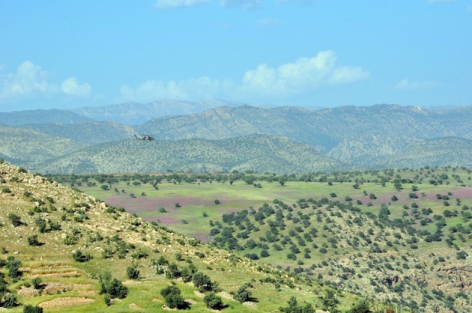 Dargeçit'te askeri hareketlilik