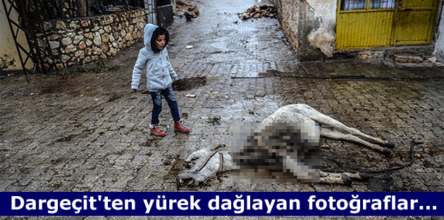 Dargeçit'ten yürek dağlayan fotoğraflar...