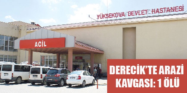 Derecik’te Arazi Kavgası: 1 Ölü