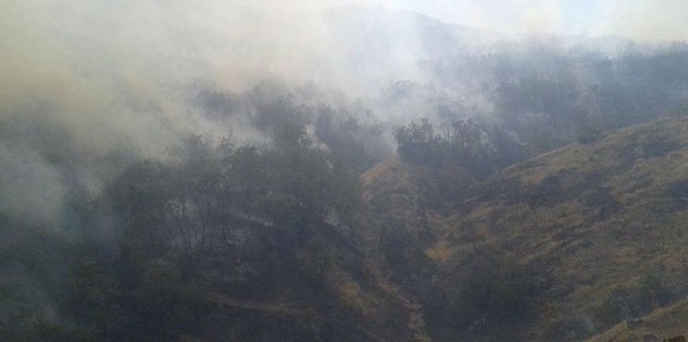 Dersim ve Nusaybin’de ormanlar yanıyor