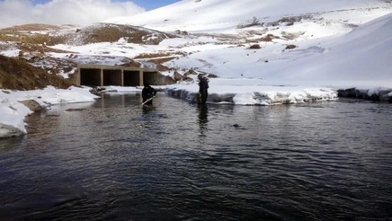 Dicle Nehri'nin en önemli kolu Çatak Çayı'nda kirlilik tehlikesi