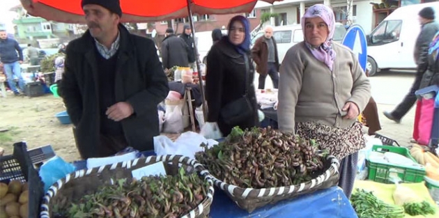 Doğal şifa deposu pazardaki yerini aldı