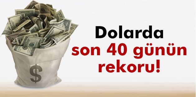 Dolar 40 günün en yüksek seviyesinde