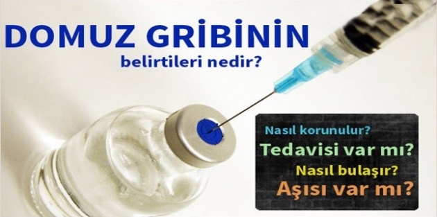 Domuz gribinin belirtileri nelerdir? Gripten nasıl korunabiliriz?