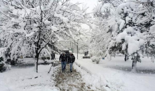 Düzce Üniversitesi'nde kar tatili