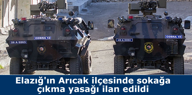 Elazığ'ın Arıcak ilçesinde sokağa çıkma yasağı ilan edildi