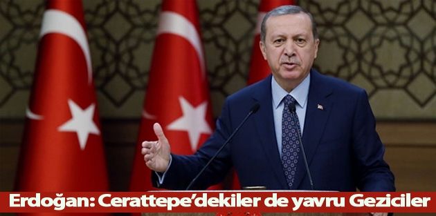 Erdoğan: Cerattepe’dekiler de yavru Geziciler