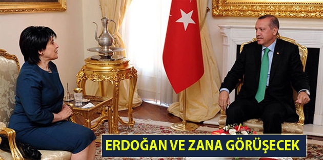 Erdoğan ve Zana görüşecek