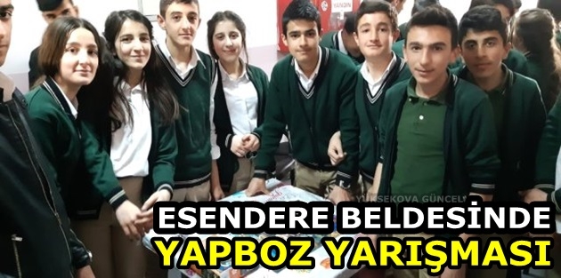 Esendere Beldesinde Yapboz Yarışması