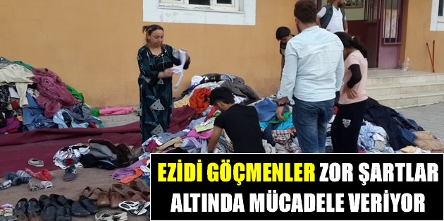 Ezidi Göçmenler Zor Şartlar Altında Mücadele Veriyor