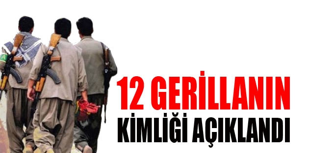 Farklı tarihlerde yaşamını yitiren 12 gerillanın kimliği açıklandı