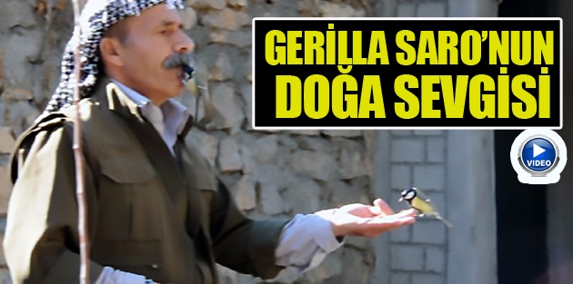 Gerilla Saro’nun doğa sevgisi