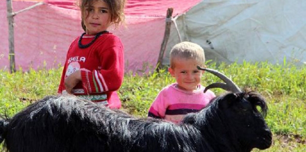 Göçerler yayla yolunda