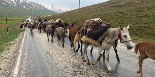 Göçerlerin zorlu yolculuğu