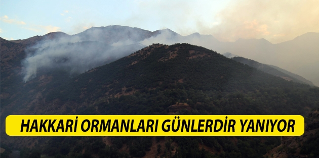 Hakkari ormanları günlerdir yanıyor