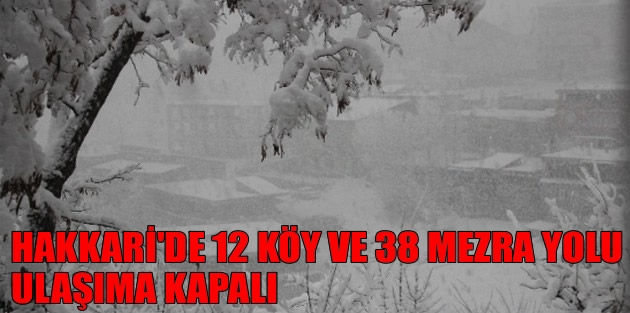 Hakkari'de 12 Köy Ve 38 Mezra Yolu Ulaşıma Kapalı