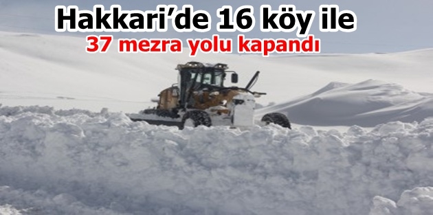 Hakkari’de 16 köy ile 37 mezra yolu kapandı 