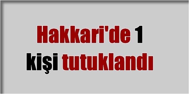 Hakkari'de 1 kişi tutuklandı