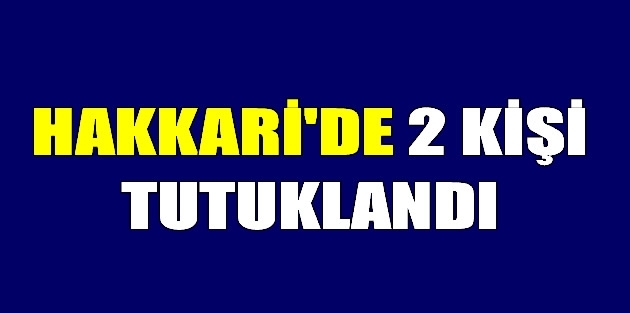 Hakkari'de 2 kişi tutuklandı