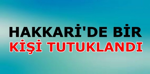 Hakkari'de bir kişi tutuklandı