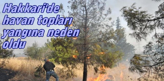 Hakkari'de havan topları yangına neden oldu