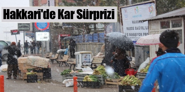 Hakkari'de Kar Sürprizi