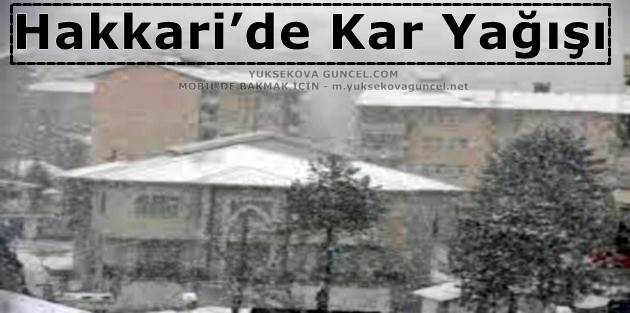 Hakkari’de Kar Yağışı