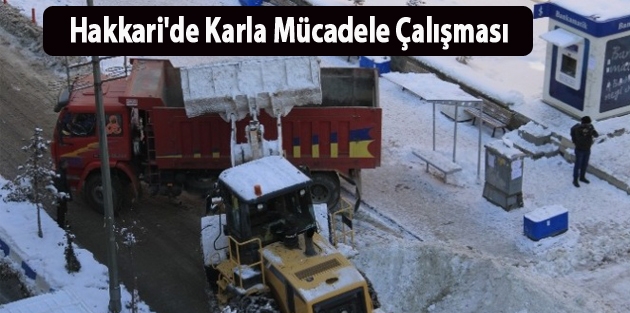 Hakkari'de Karla Mücadele Çalışması