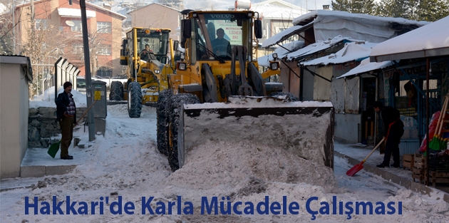 Hakkari'de Karla Mücadele Çalışması