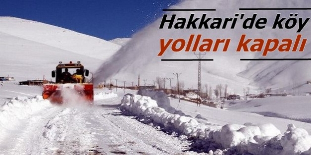 Hakkari'de köy yolları kapalı