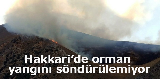 Hakkari’de orman yangını söndürülemiyor