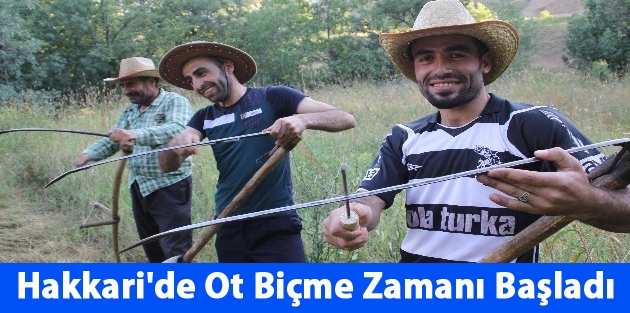 Hakkari'de Ot Biçme Zamanı Başladı