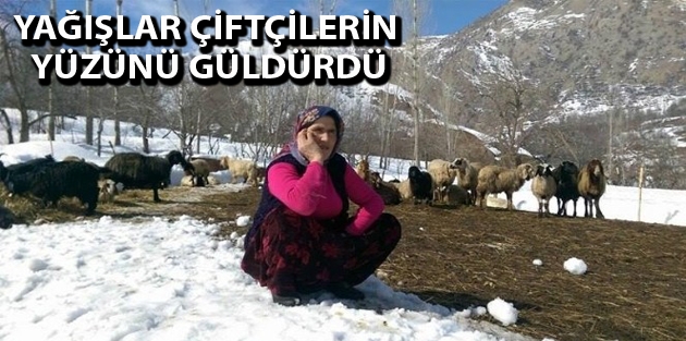 Hakkari'de Yağışlar Çiftçilerin Yüzünü Güldürdü