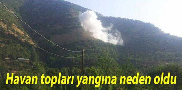 Havan topları yangına neden oldu