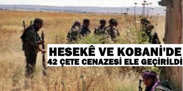 Hesekê ve Kobani’de 42 çete cenazesi ele geçirildi