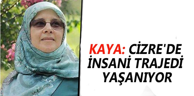 Hüda Kaya: Cizre'de insani trajedi yaşanıyor