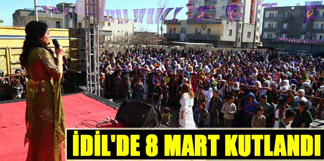 İdil'de 8 Mart binlerce kadınla kutlandı