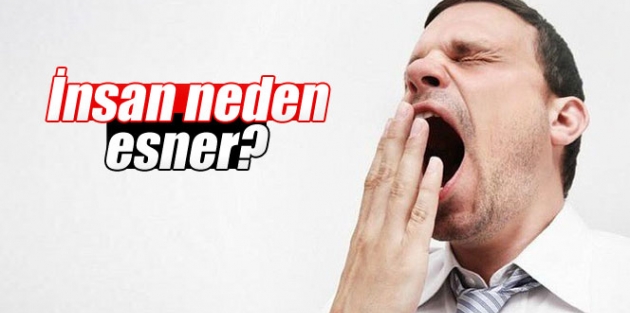 İnsan neden esner?