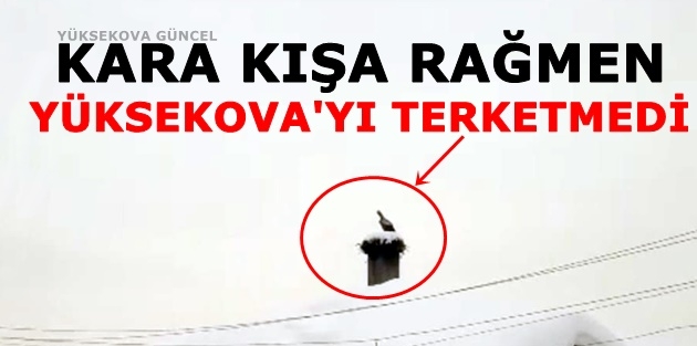 Kara Kışa Rağmen Yüksekova'yı Terk Etmedi