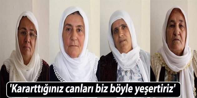 'Kararttığınız canları biz böyle yeşertiriz'