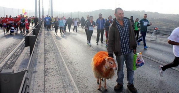 Kınalı kuzusu ile maratona katıldı