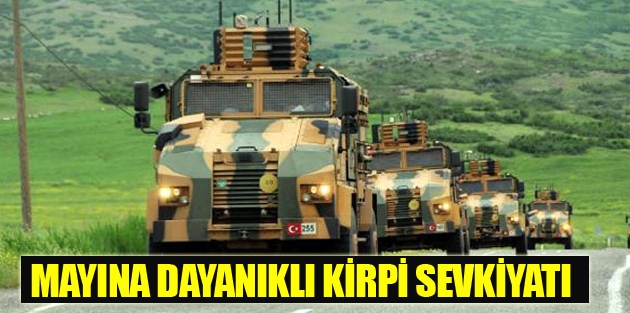 Kirpi sevkiyatı başladı