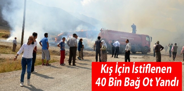 Kış İçin İstiflenen 40 Bin Bağ Ot Yandı