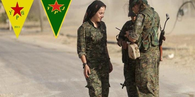 Kobanê ve Cizirê’de 23 çete öldürüldü