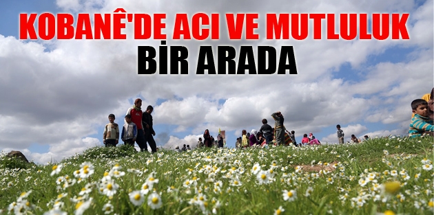 Kobanê'de acı ve mutluluk bir arada