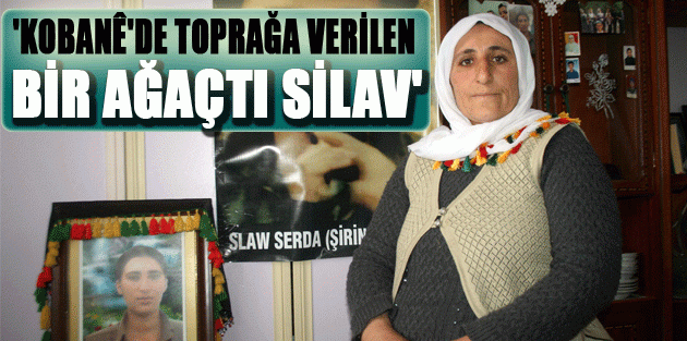 'Kobanê'de toprağa verilen bir ağaçtı Silav'