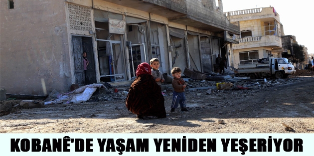 Kobanê'de yaşam yeniden yeşeriyor